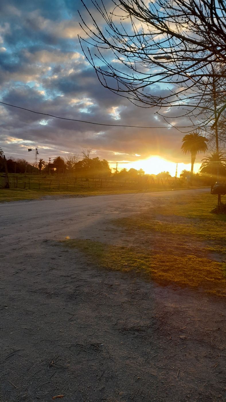 Atardecer sobre una calle de tierra con palmeras y molino