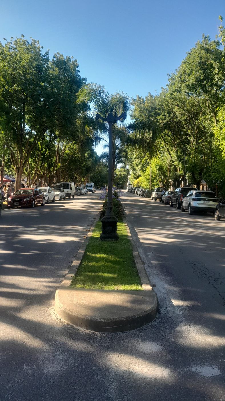 Bulevar arbolado de Verónica con farola central